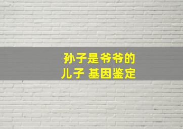 孙子是爷爷的儿子 基因鉴定